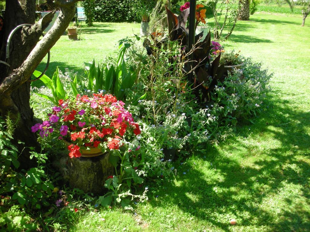 B&B Da Pio Pietrasanta Buitenkant foto