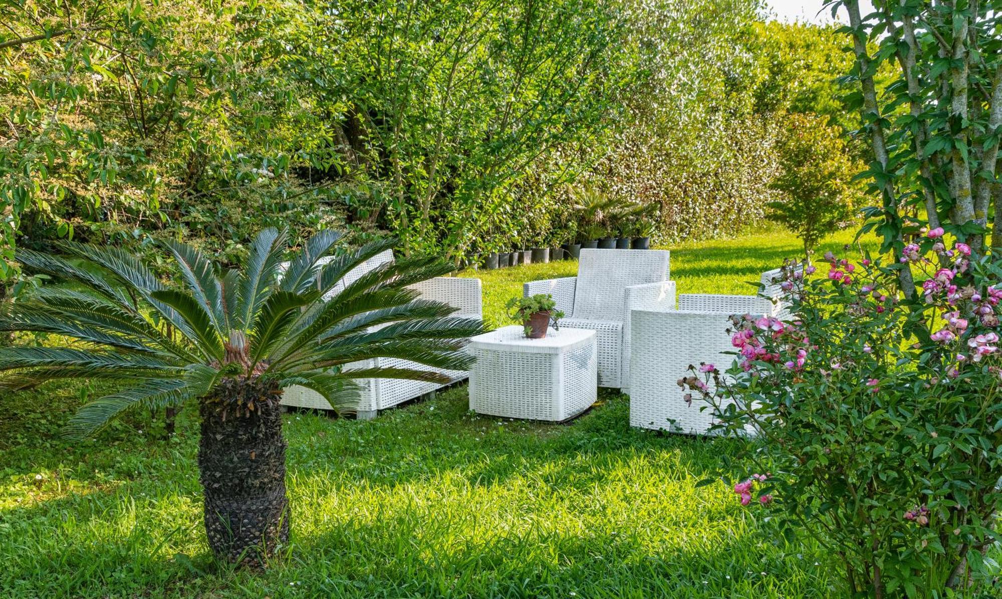 B&B Da Pio Pietrasanta Buitenkant foto