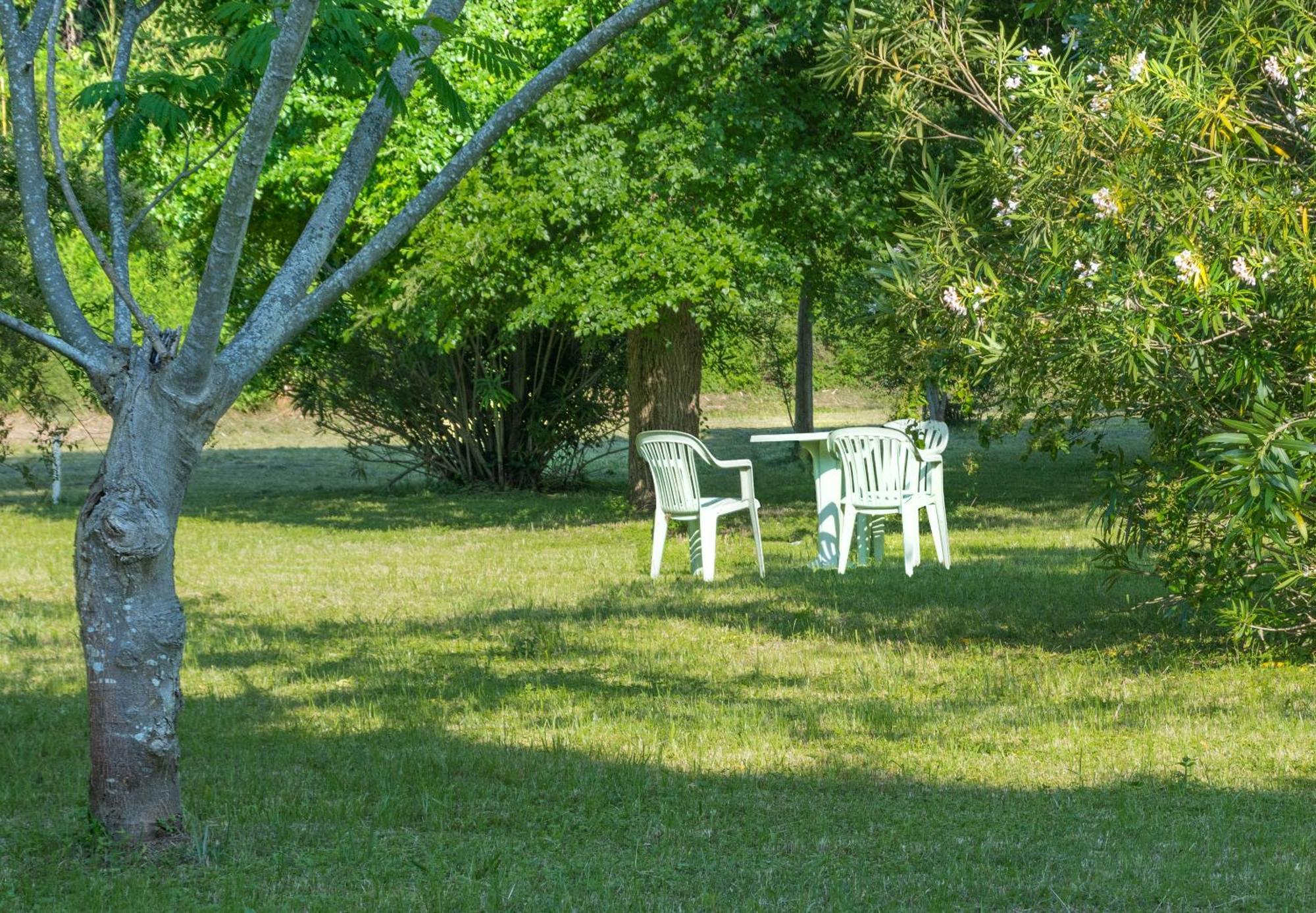 B&B Da Pio Pietrasanta Buitenkant foto